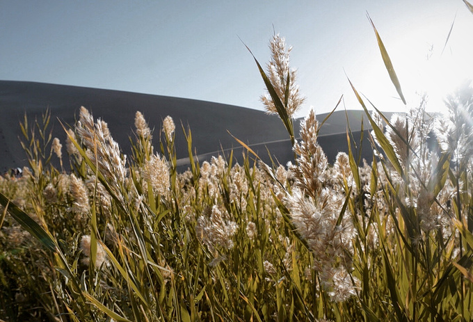 去一趟大西北的旅行,大西北旅行青藏高原