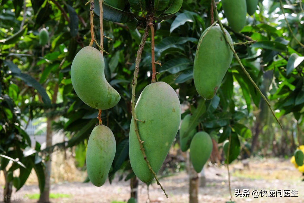 四种水果要少吃,吃什么水果可以祛体内湿气寒气