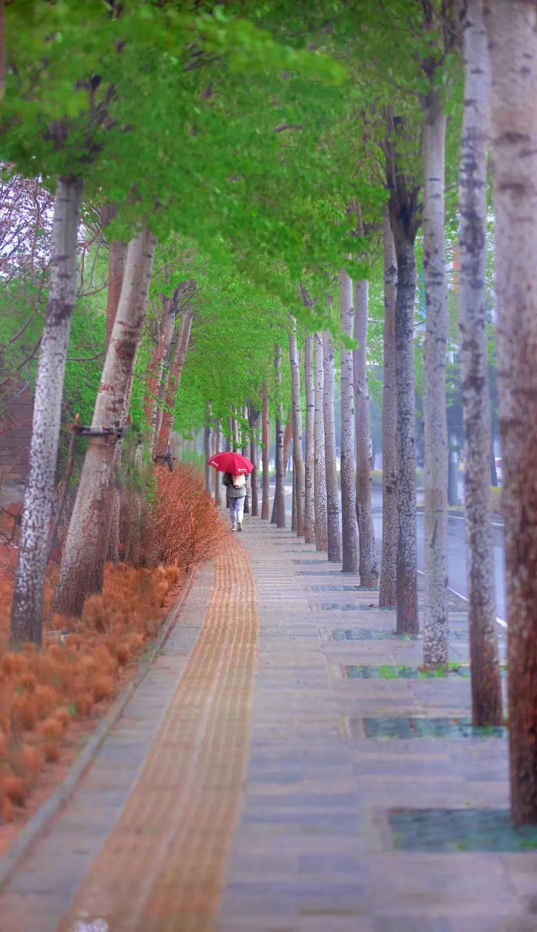 有关秦皇岛的歌曲,这些经典流行歌曲满满的都是回忆