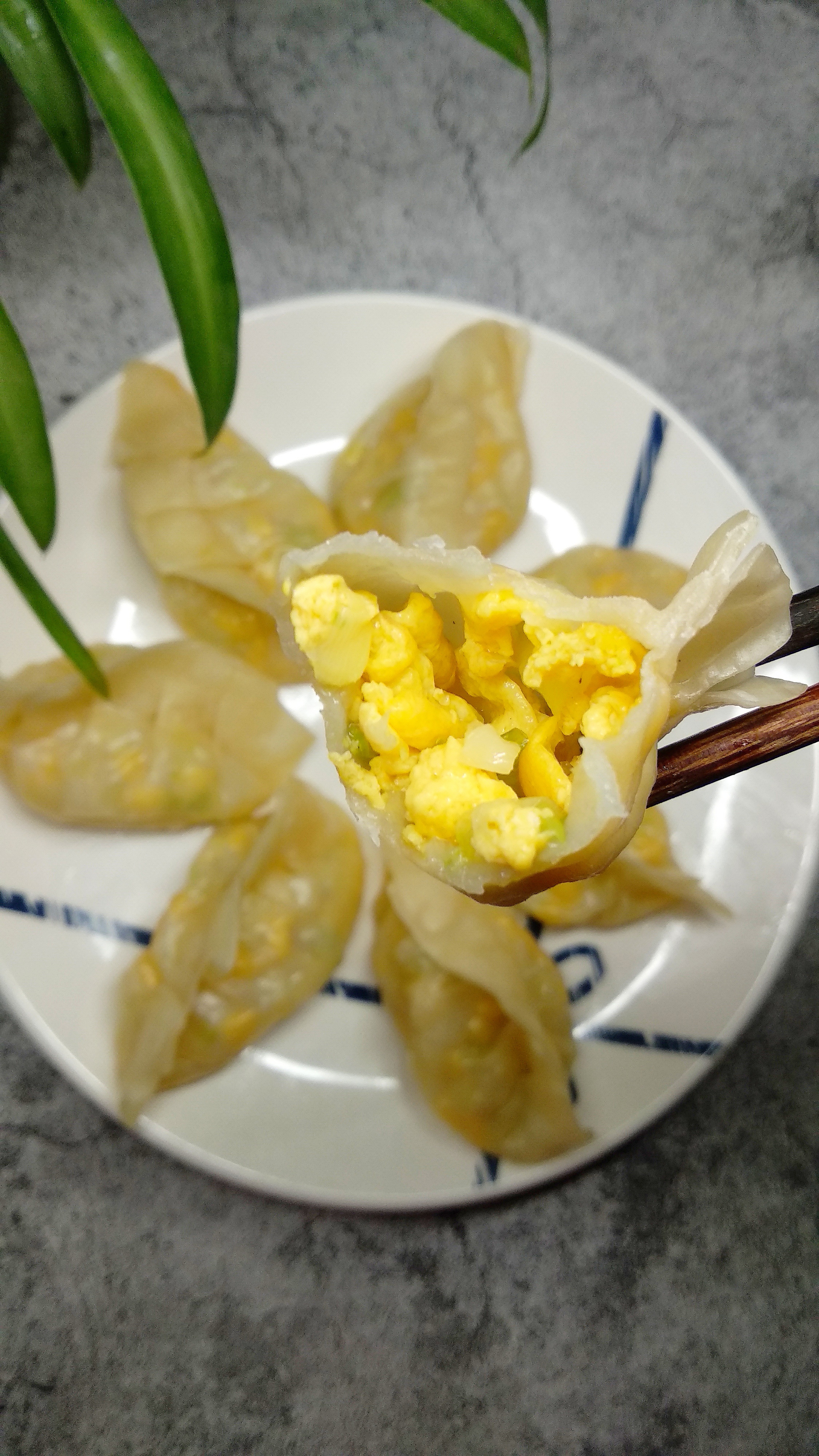 青菜包饺子怎么能不出水,青菜虾仁饺子馅怎么调最好