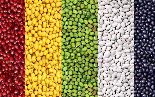 二十四节气立夏ppt课件免费,二十四节气立夏视频