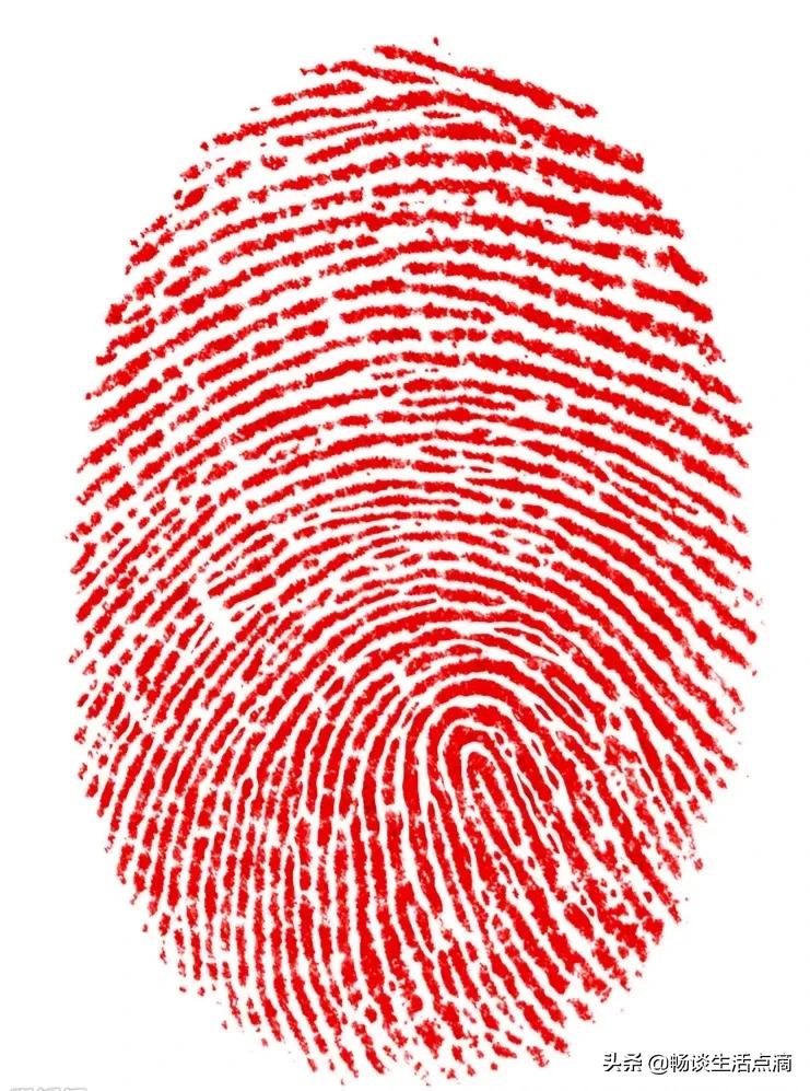 一螺穷二螺富顺口溜完整版,一螺穷二螺富三螺四螺什么意思