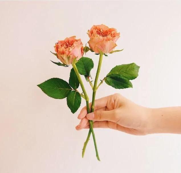 问候情人早安晚安暖心话,跟情人说晚安暖心话的句子