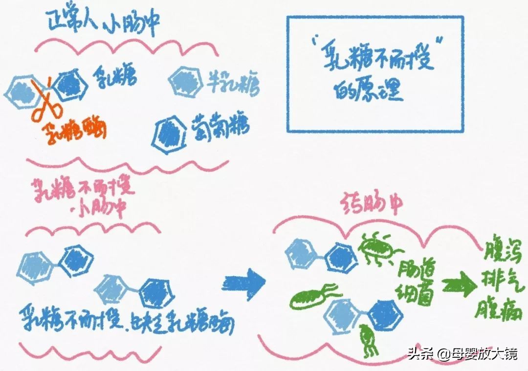 7个月宝宝育儿指导方案,7个月宝宝育儿视频