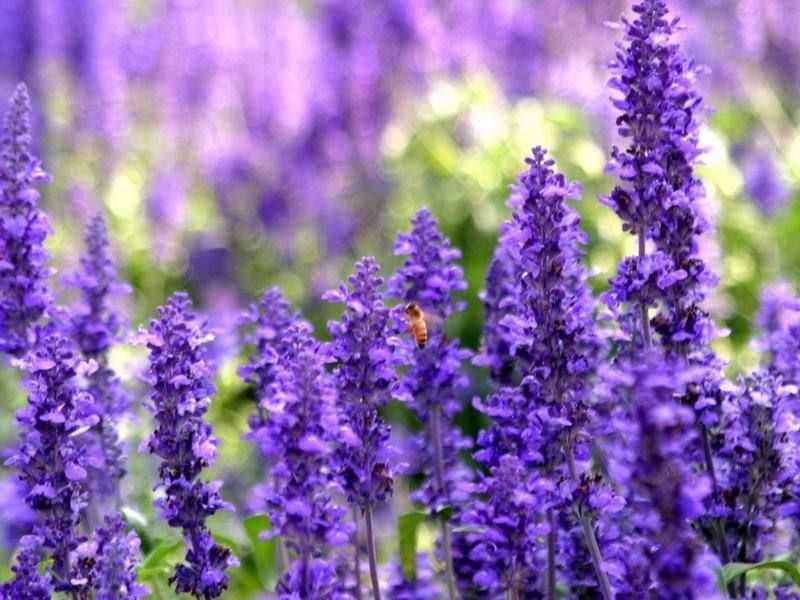 新疆旅行摄影攻略伊犁,伊犁草原摄影团