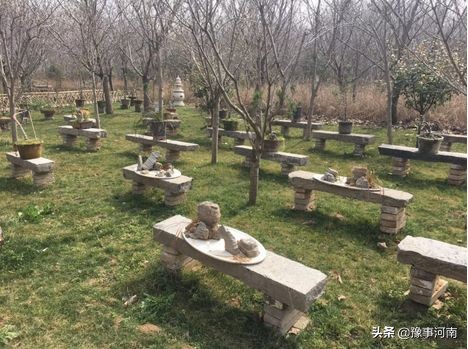 河南许昌樱花景点,许昌樱花最美的地方