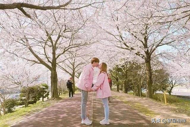 涓嶈琚竴鏃剁殑娴极鍐叉槒澶磋剳,涓嶈琚氮婕墍璇