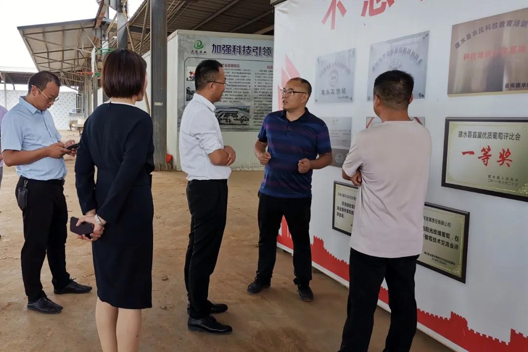 淘金王金合现状,淘金时代王金合