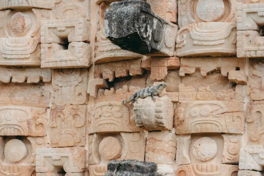 墨西哥尤卡坦半岛旅游,去墨西哥指南