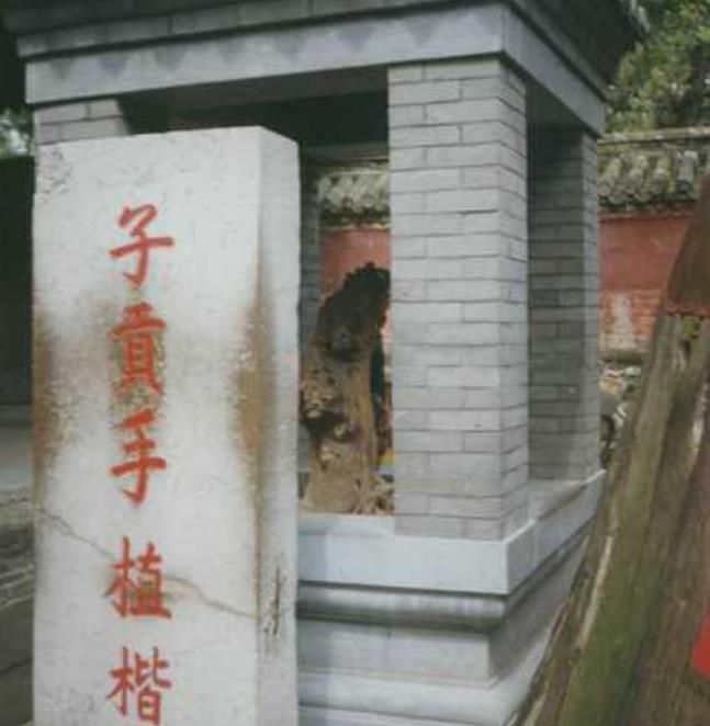 曲阜孔子之墓,曲阜孔子墓之谜