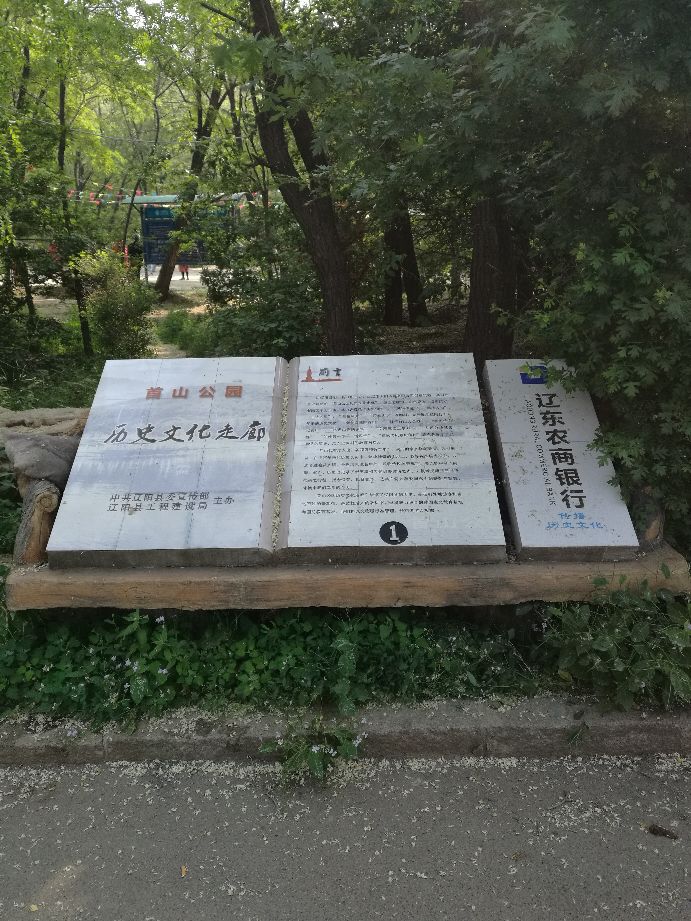 漫山花如雪,风吹暗香来