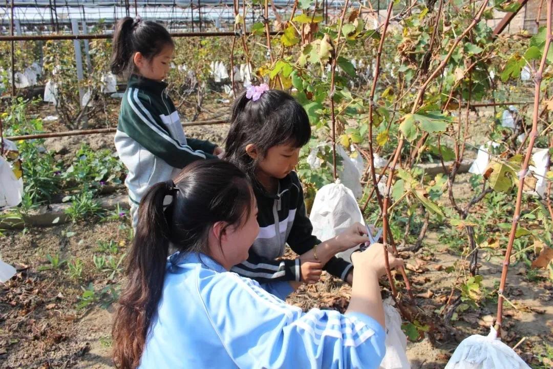 太原市小店区华德天一小学校,太原华德天一小学好不好进