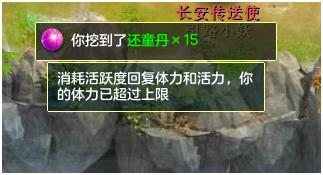 神武3血耐宠加点,神武3洗变异宠正确方法