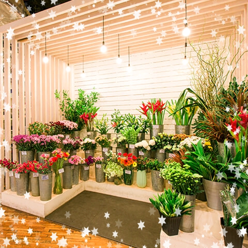 这些技巧让你的花店经营更好,花店经营技巧和方法