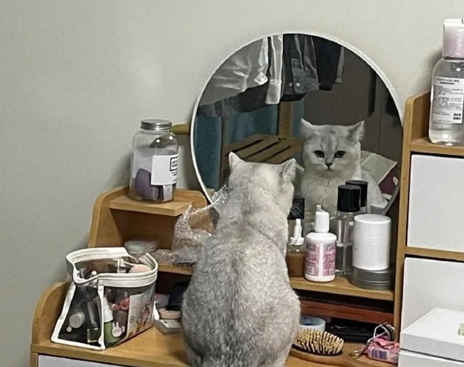 女朋友总是为难你该怎么办,当女朋友对你不耐烦了怎么办