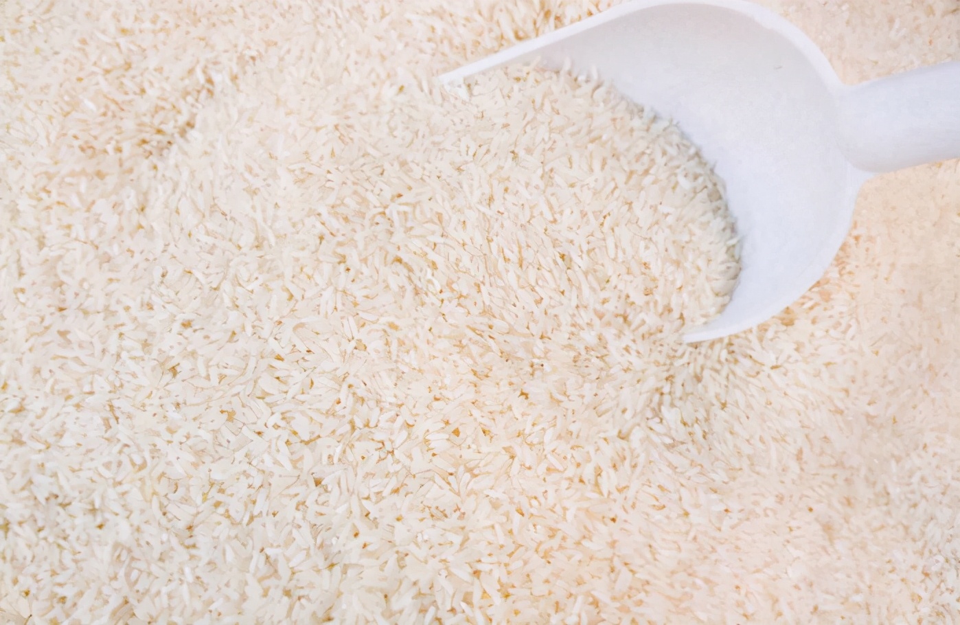 舌尖上的安全感悟,舌尖上的安全全册