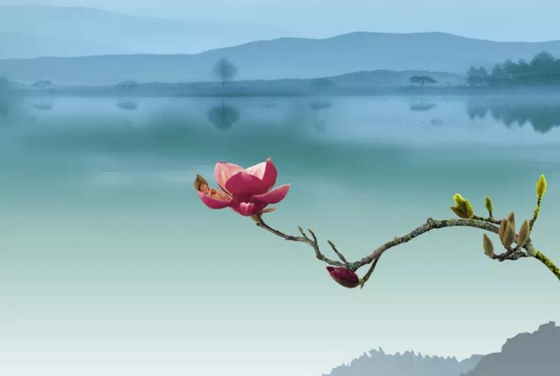 春雨诗词一朝春雨过万物皆清明 (极美的十首春雨诗词)