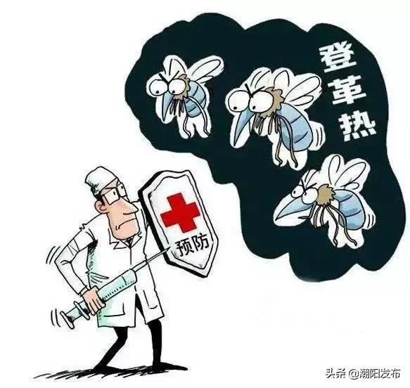 登革热高风险地区,注意登革热高发期教你三招远离