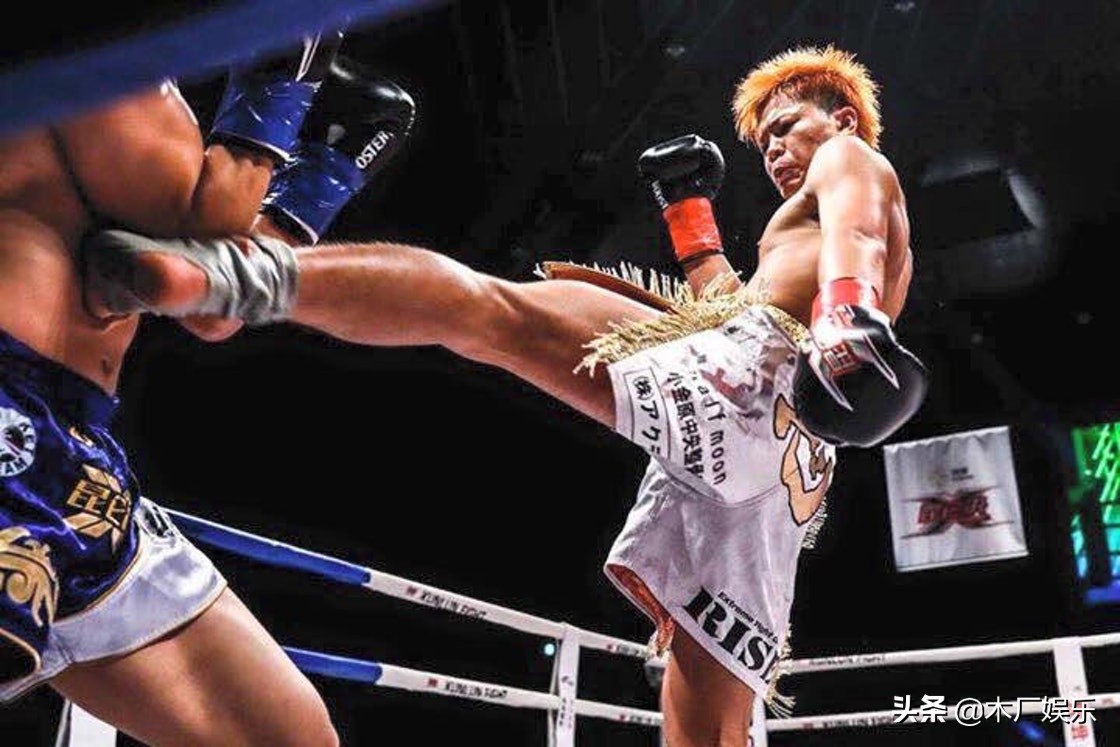 不同侧踢技术的比较分析,前踢实战运用