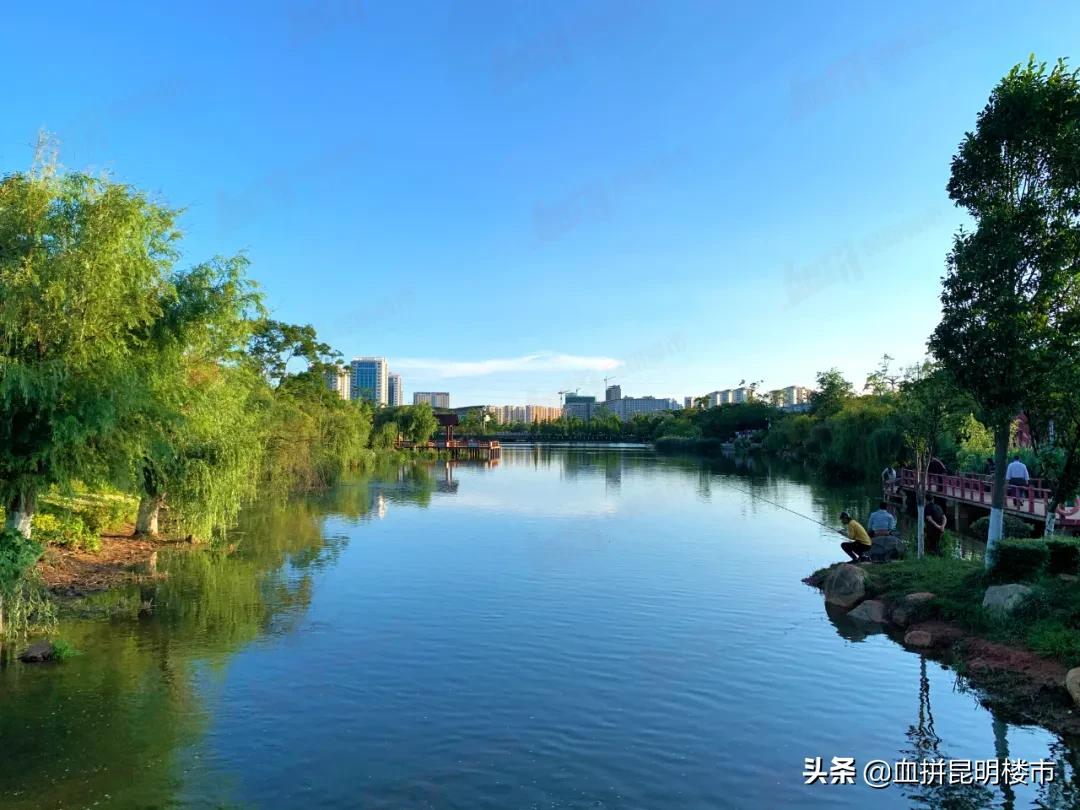 有学校的楼盘郑州,有学校有地铁的公寓值得买吗