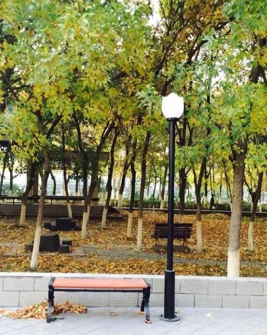 *疆新**大学!真美