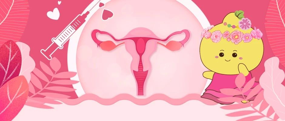 九价疫苗一针难求,九价hpv疫苗一苗难求并非无解