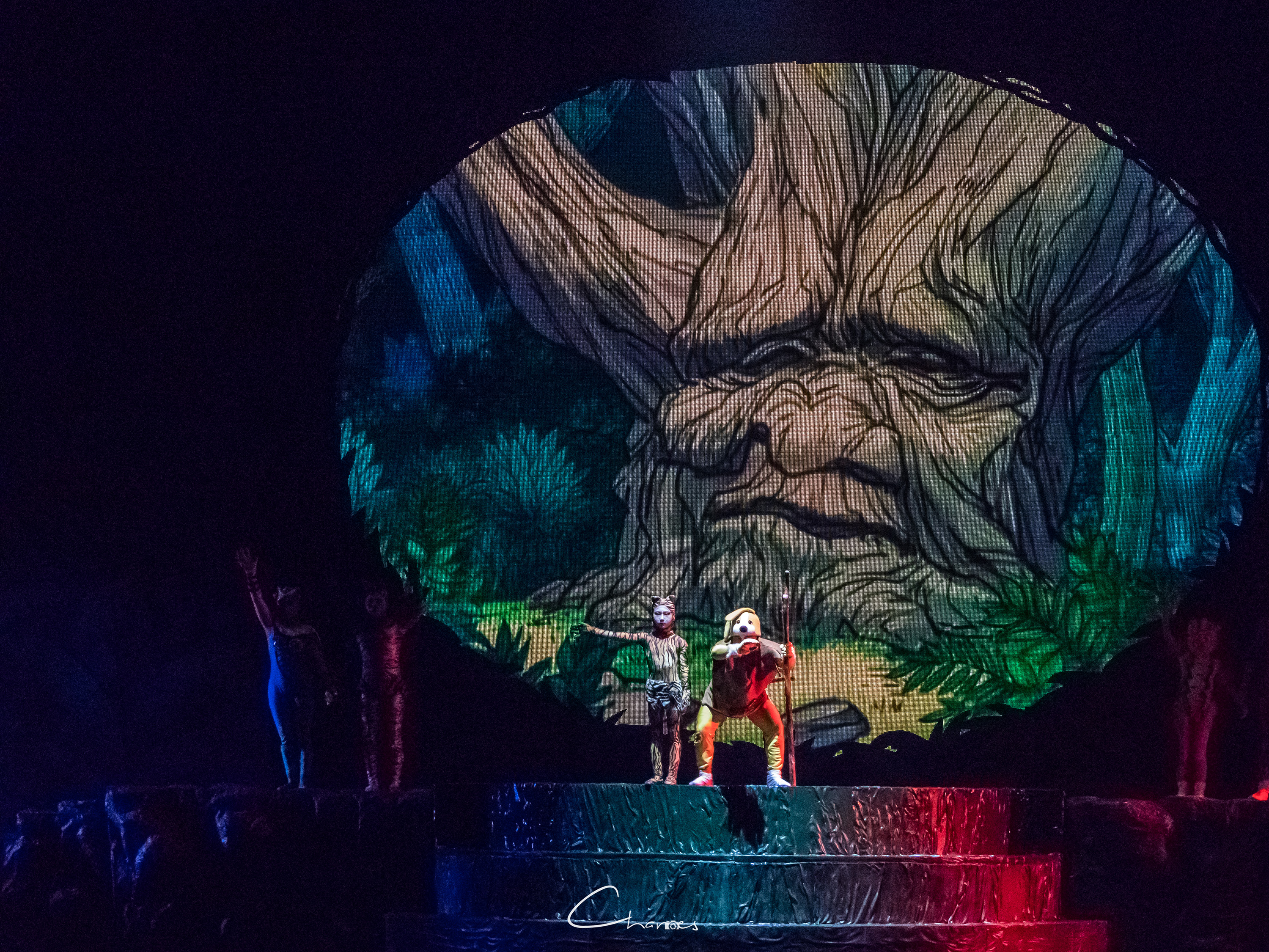 厦门方特梦幻王国白天游玩时间,厦门方特跨年旅行节