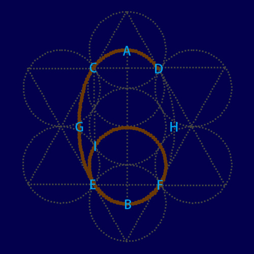 数字中隐藏的大秘密 (怎么讲阿拉伯数字的奥妙)