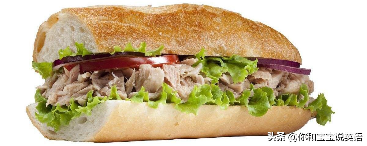 春游野餐食物清单英语 (关于野餐可以说的亲子英文)