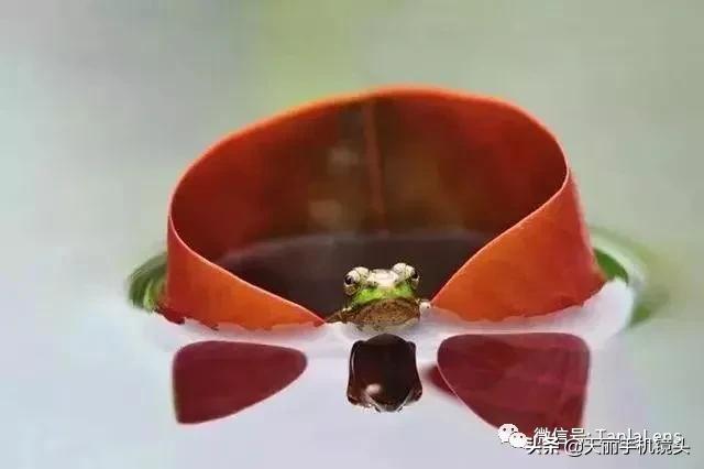 天丽摄影作品集,天丽镜头视频完整版