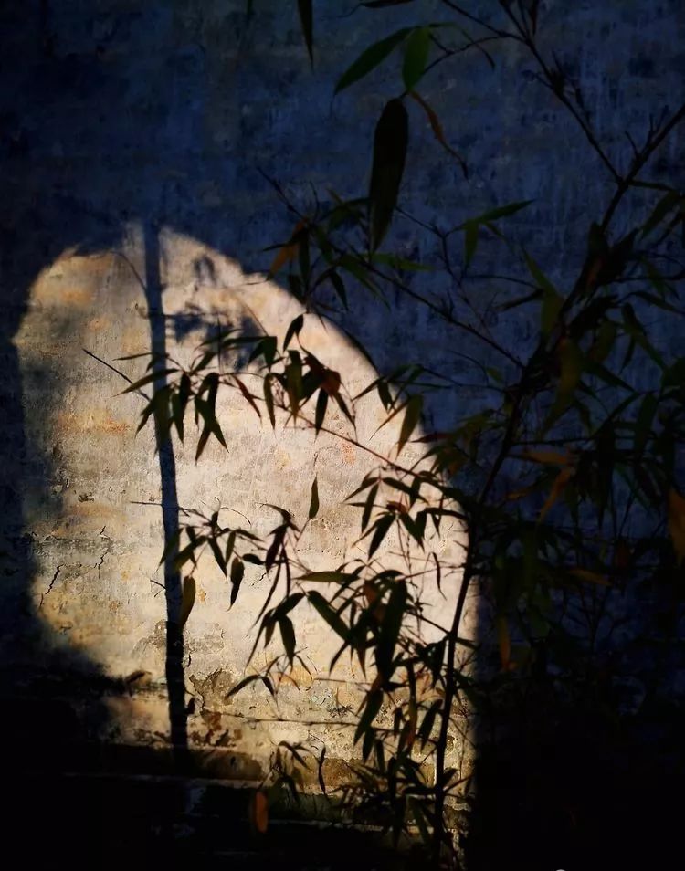 漫随天外云卷云舒原文,漫随天外云卷舒小说