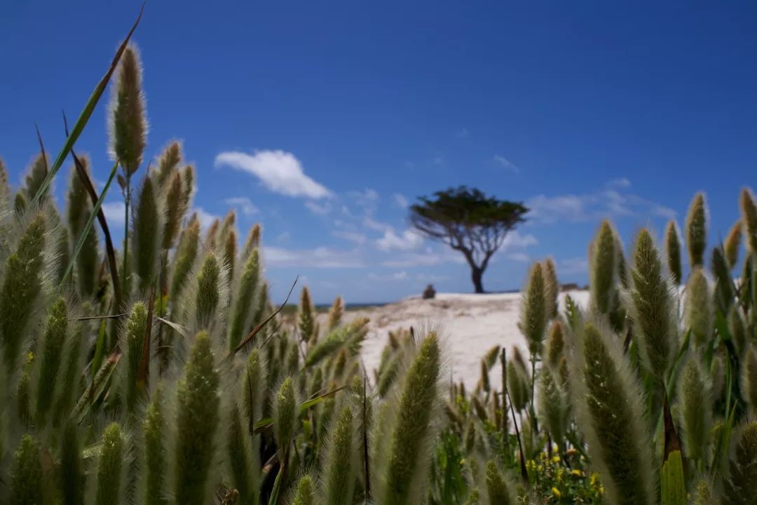 擎怀|于美利坚告别“6”的罗曼蒂克