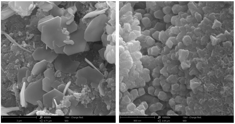 为什么工人要往水泥里加糖涨知识,水泥有油盐对水泥凝固有影响吗