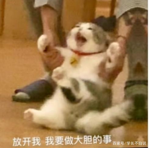 受同学刻意排挤和孤立了怎么办,因为不合群被霸凌