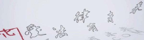 钢琴家李云迪因嫖娼被拘,钢琴家李云迪涉嫖娼