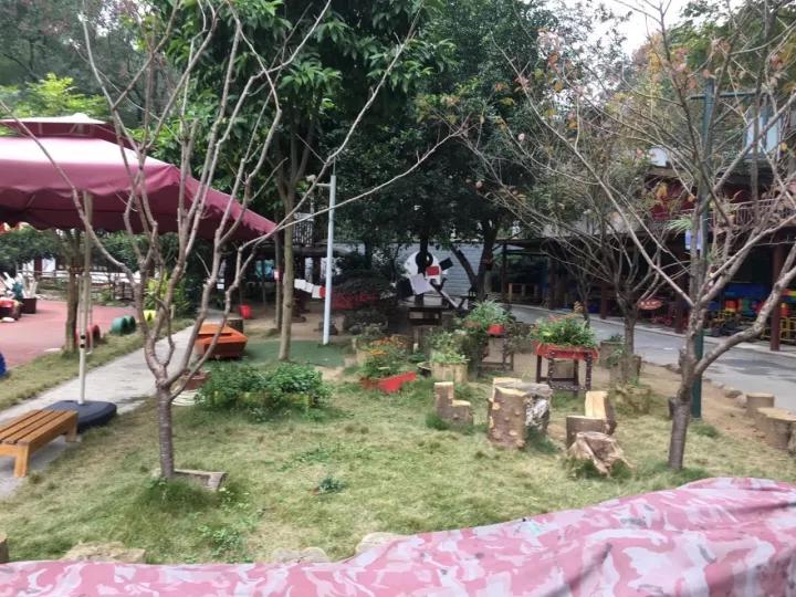 4.13重庆逐梦歌乐山上的“巴学园”探索“世界级乡村幼儿园