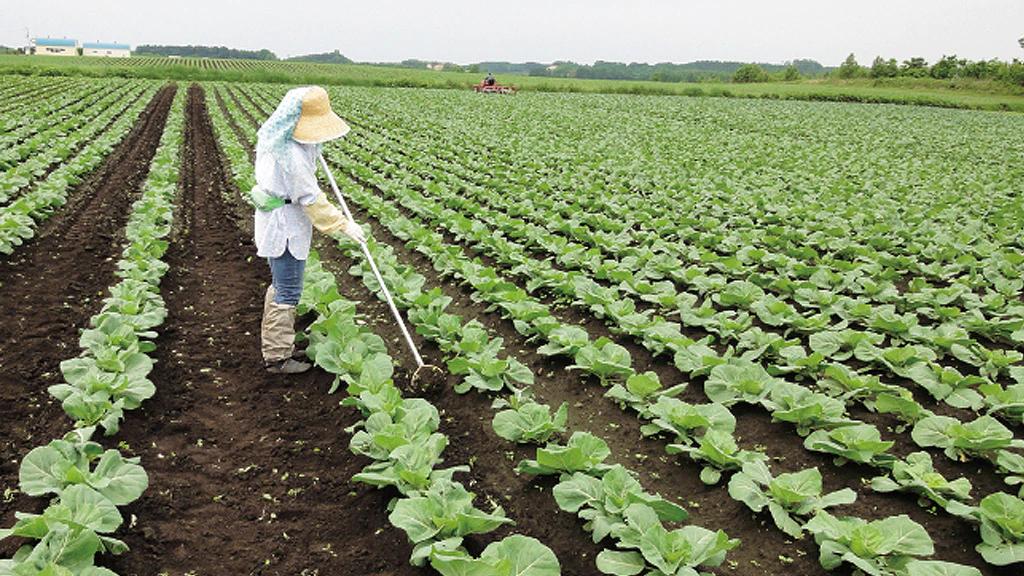 日本顶级除草机视频,日本新型的除草机