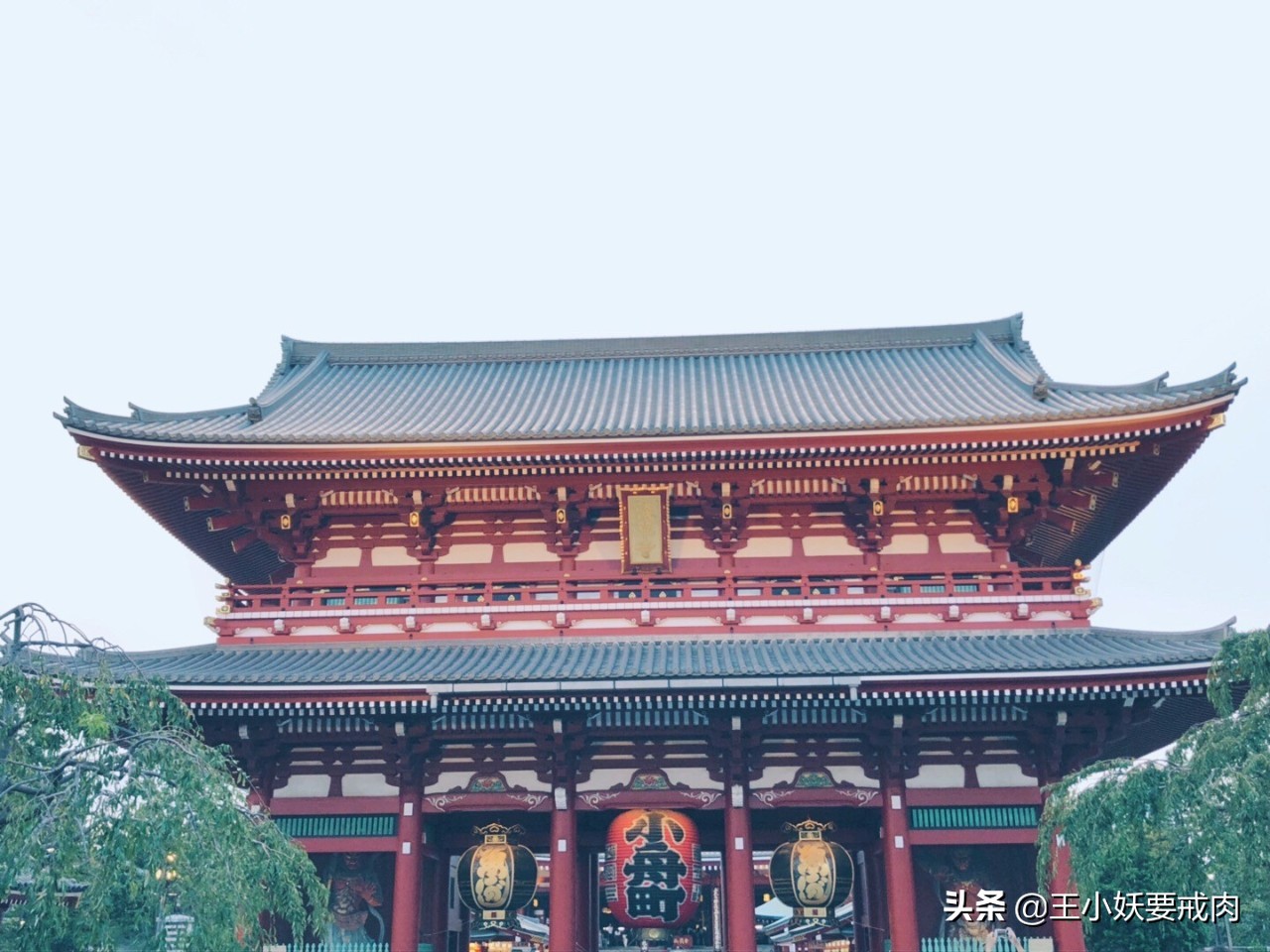 日本攻略自由行大阪,日本自由行攻略东京京都大阪