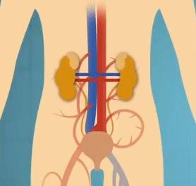 一定要警惕的骗局,警惕这些骗子套路