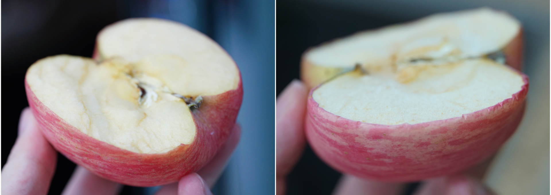 2000左右超高颜值冰箱,日立3200xc不出冰块怎么回事