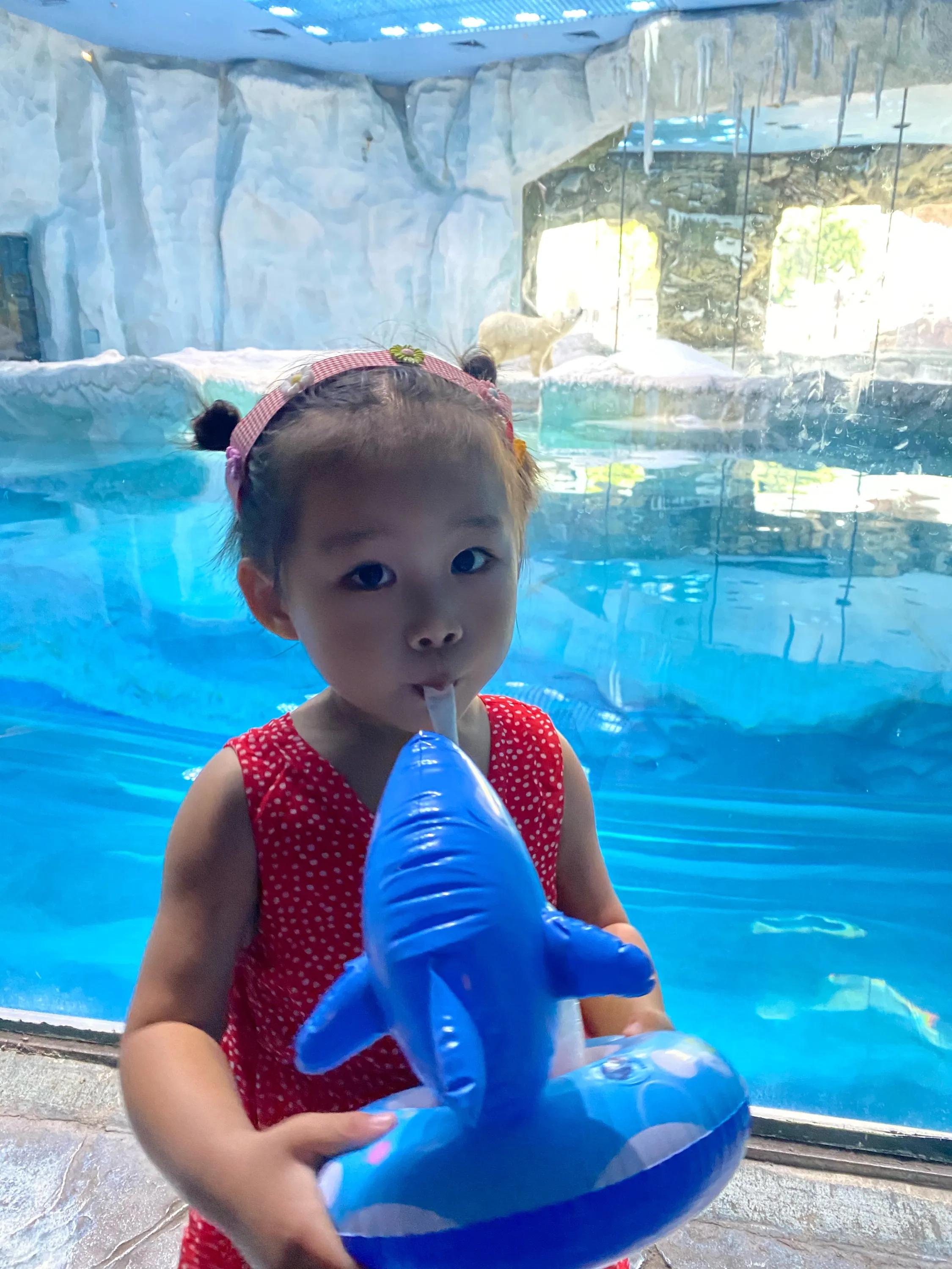 珠海长隆海洋王国游玩最省钱攻略,珠海长隆海洋王国游玩隐藏攻略