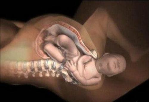 产道那么小怎么顺产,产道那么小胎儿怎么出来的