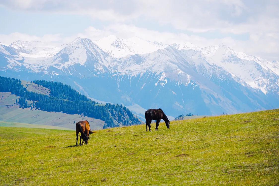 占中国六分之一地盘的*疆新**，12个5A景区N个世界遗产你走过多少？