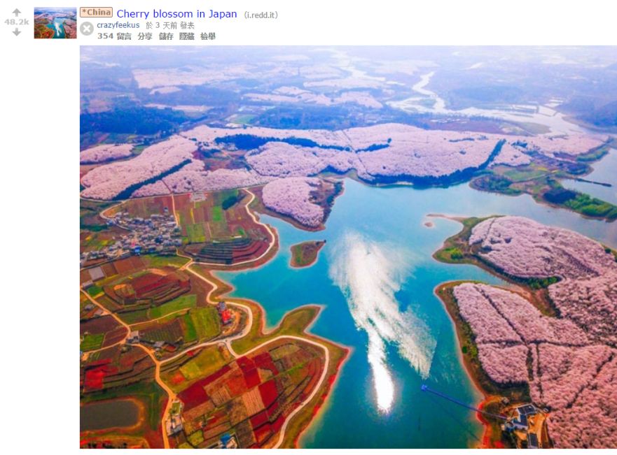 世界最大的樱花园,世界最大的樱花园在贵州吗