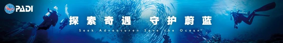 你多久没潜水了？做好这些，重燃对潜水的热情