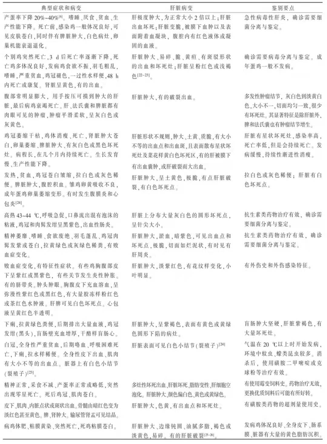 蛋鸡肝破裂出血鸡冠发白,蛋鸡肝脏破裂还能吃么