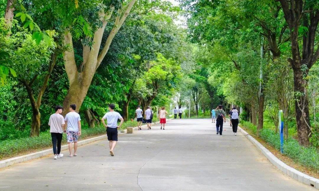 深圳不为人知的好地方,深圳不为人知的美景