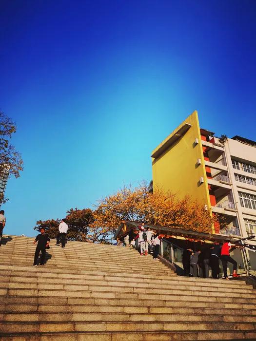 大渡口区重点中学,重庆市大渡口区三十七中录取标准