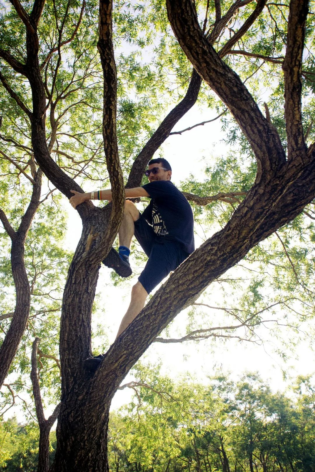 招待会音乐节,招待会电子音乐节2019