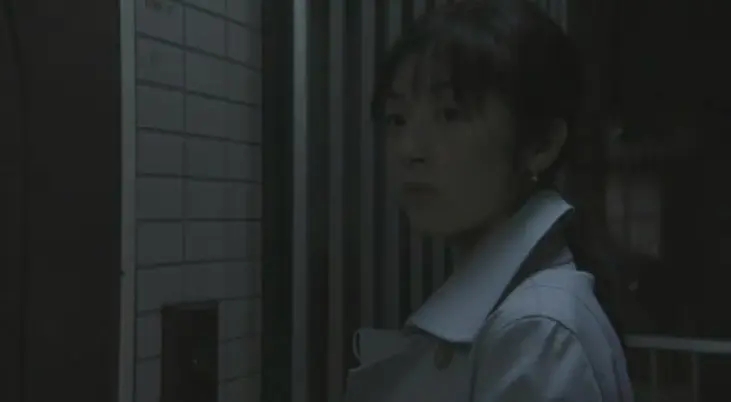 十大恐怖片咒怨,日本恐怖片前十排行榜咒怨